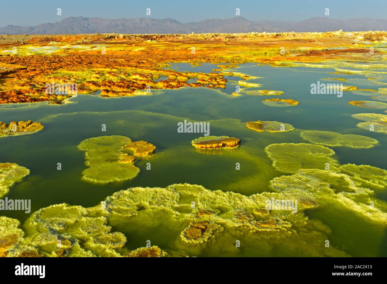Les sulfures cristallisé dans une saumure acide le champ géothermique de piscine, de dépression Danakil, Dallol, Triangle Afar, Ethiopie Banque D'Images