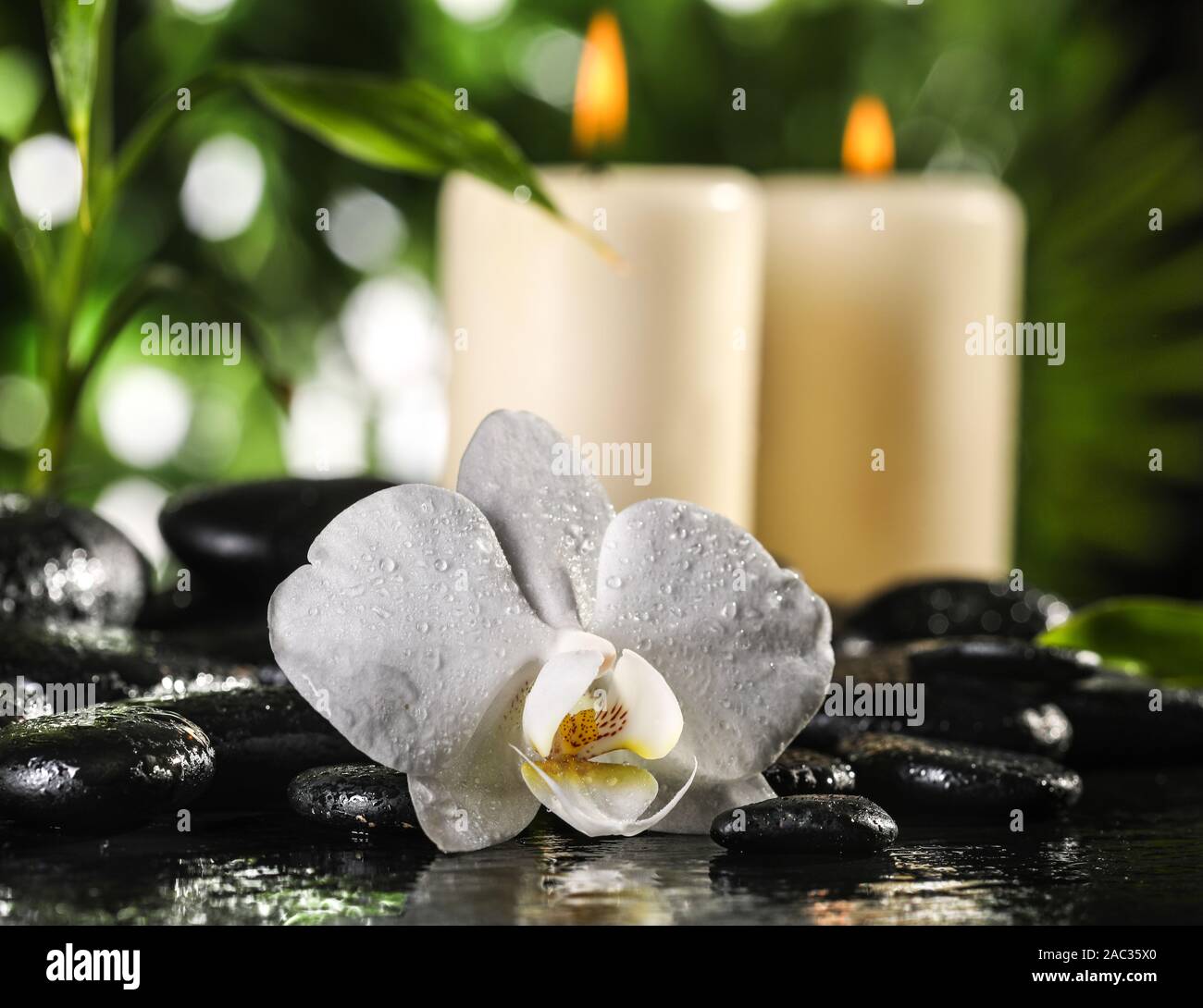 Grean feuilles de bambou, orchidée, fleur blanche, serviette et des bougies  sur les pierres zen noir sur fond de feuilles tropicales Photo Stock - Alamy