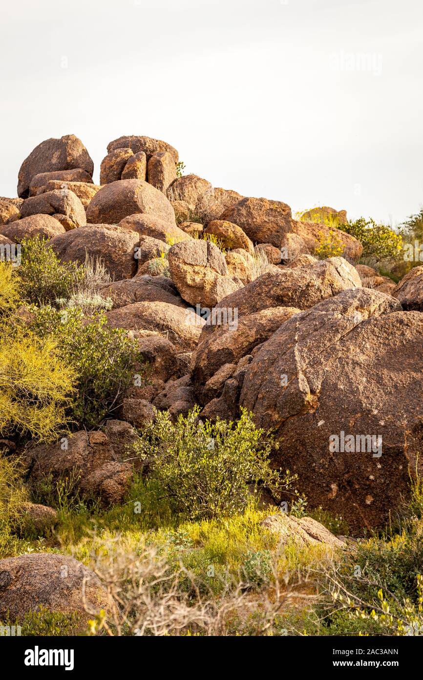 Formations de rochers dans la forêt nationale de tonto. Banque D'Images
