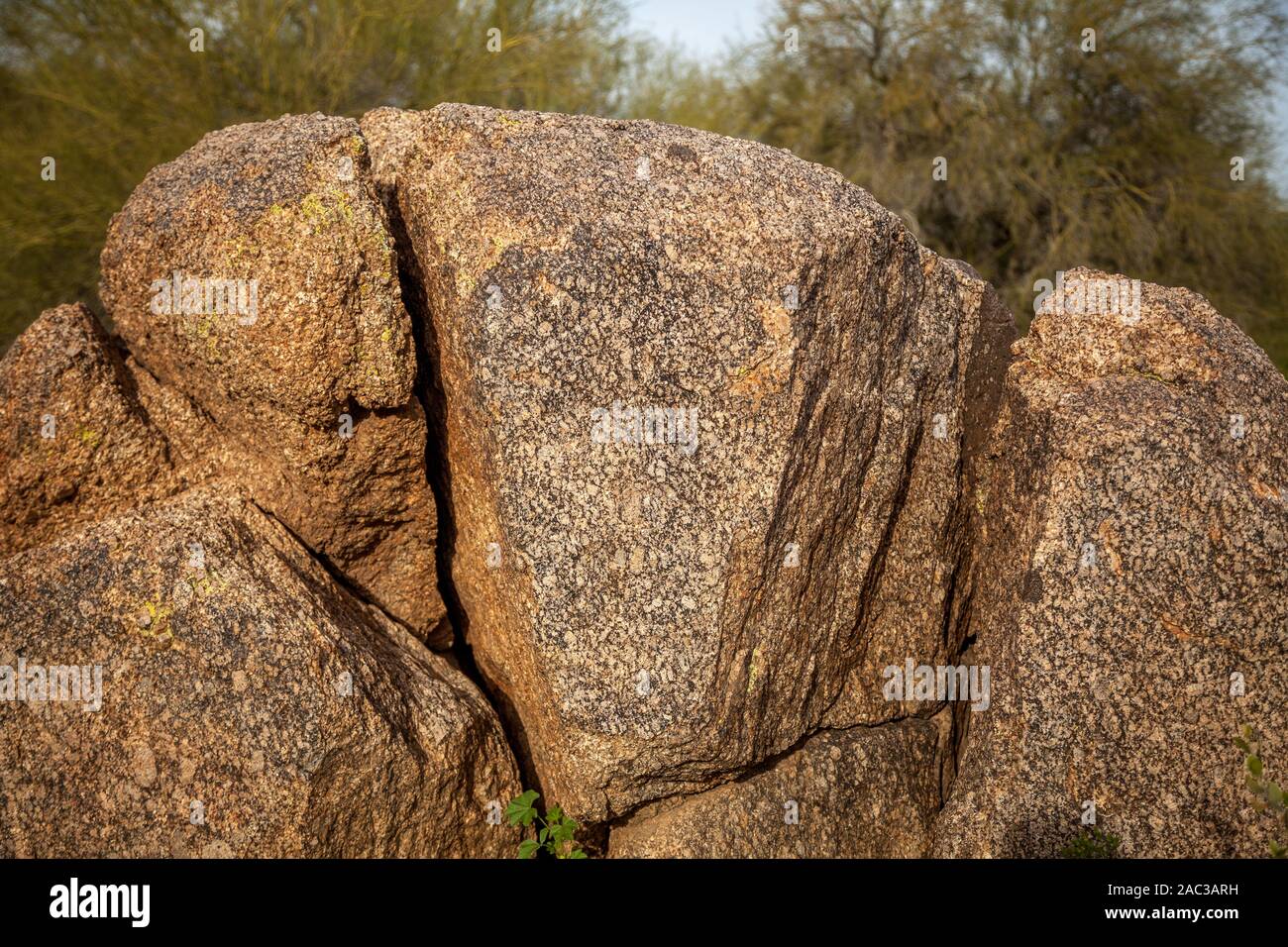Formations de rochers dans la forêt nationale de tonto. Banque D'Images