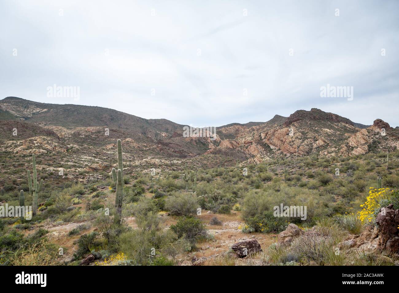 Vue du désert de la forêt nationale de Tonto Banque D'Images