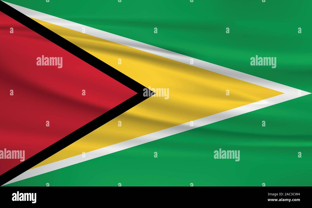 Brandissant le drapeau du Guyana, couleurs officielles et le ratio exact. Guyana drapeau national. Vector illustration. Illustration de Vecteur