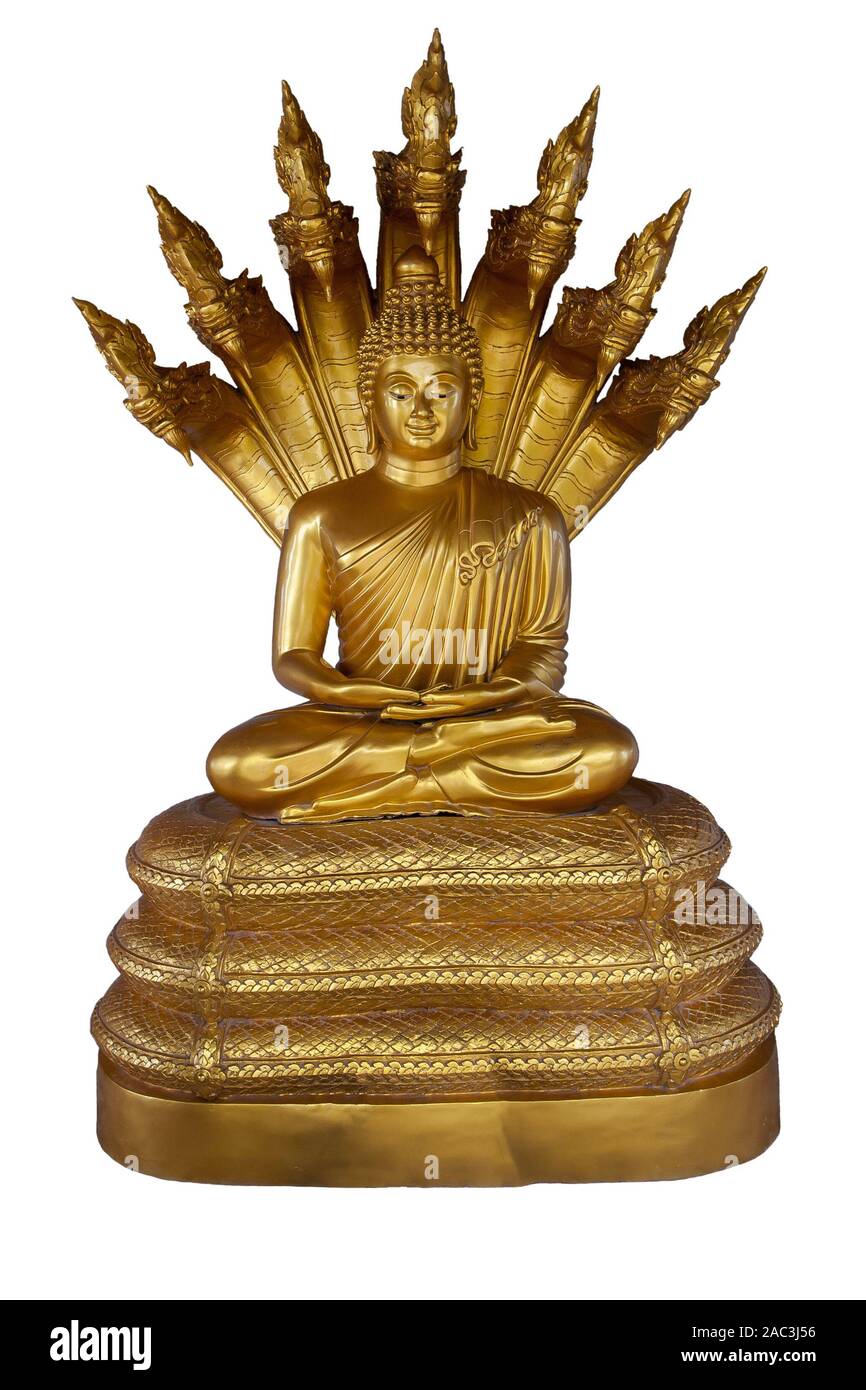 Golden Bouddha assis en position du lotus sur un trône avec sept têtes de naga isolé sur un fond blanc. Sculpture bouddha thaï traditionnel. Banque D'Images