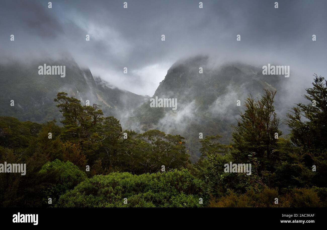 La pluie lourde typique et le nuage lourd sur MiIlford Road le seul accès routier à Milford Sound Fjordland Nouvelle-Zélande l'un des endroits les plus humides de la terre Banque D'Images