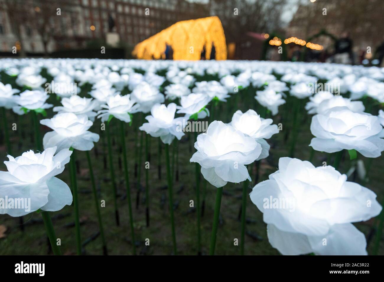 Londres, Royaume-Uni. 30 novembre 2019. Roses dans le 'jardin' jamais après qui a ouvert ses portes au public à Grosvenor Square. Conçu par Anya Hindmarch et Camilla Morton en mémoire de leur ami et top Chef Décorateur Michael Howells, le jardin comprend jamais après un espace rempli avec plus de 27 000 roses blanches illuminées. Les visiteurs peuvent planter une rose à la mémoire d'êtres chers qu'ils ont perdu, le coût de chaque rose aidant à recueillir des fonds pour l'organisme de bienfaisance de Cancer Royal Marsden. Le jardin est ouvert jusqu'au 22 décembre. Crédit : Stephen Chung / Alamy Live News Banque D'Images