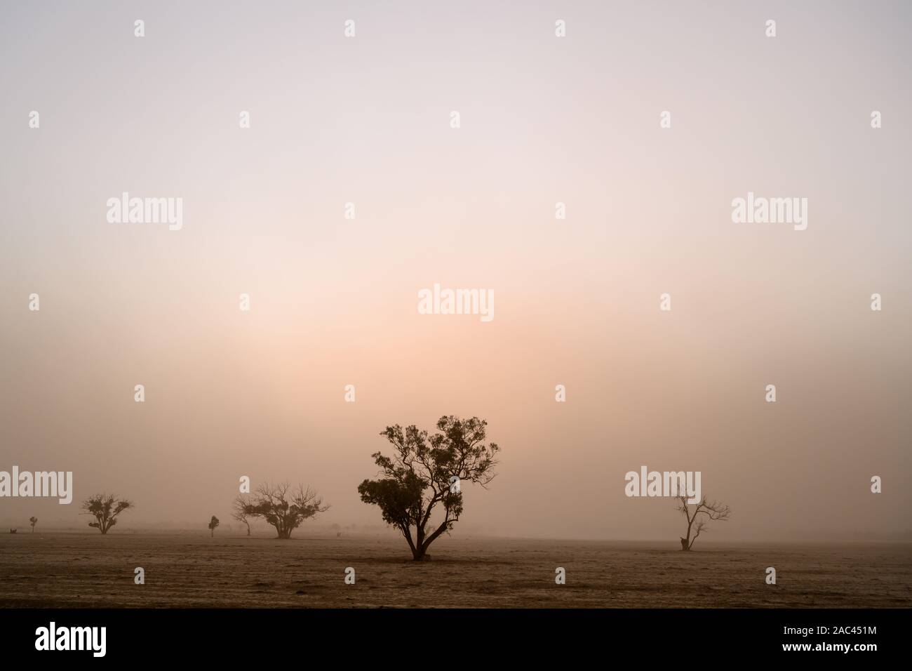 Jours de grand vent à travers le sud de l'Australie orientale mènent à de longues périodes de poussière rempli l'atmosphère. Banque D'Images