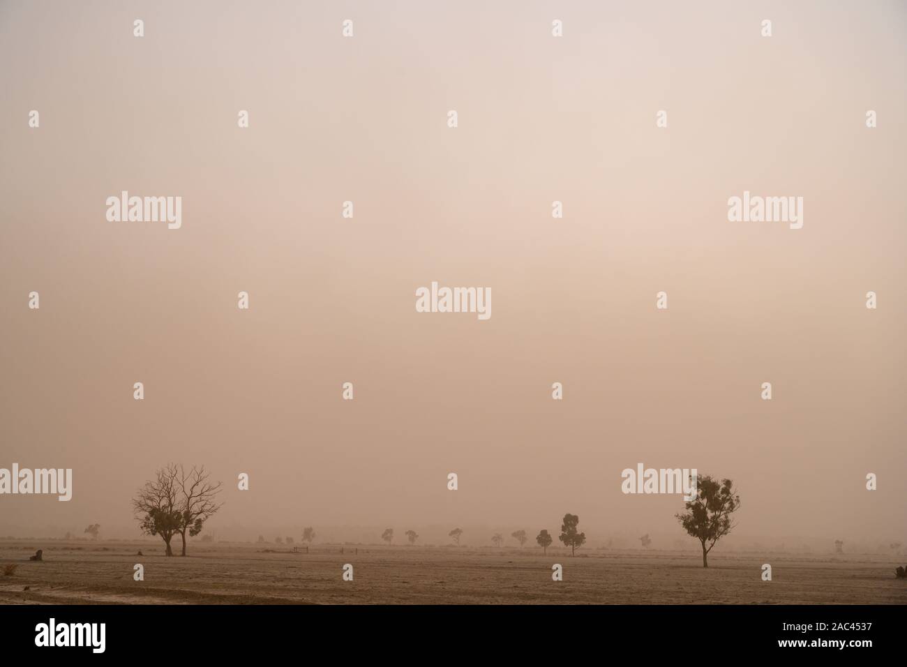 La persistance du temps sec et des vents forts contribuent à des tempêtes de poussière répandue dans tout le sud-est de l'Australie Banque D'Images