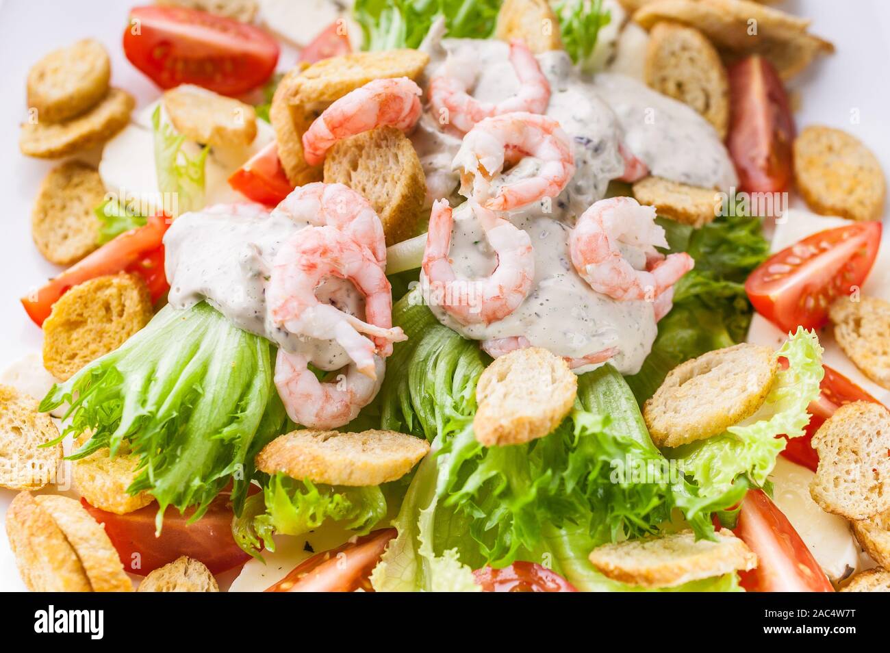 Close-up avec salade de crevettes, avocat, laitue, fromage et craquelins sur une plaque blanche. Recettes de fruits de mer délicieux et sains. Banque D'Images