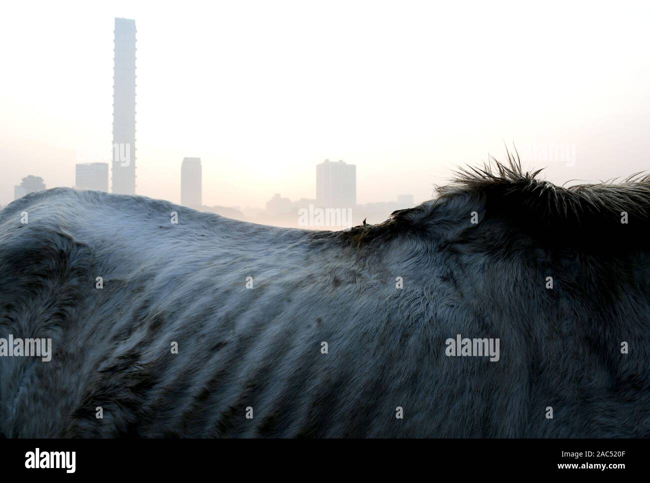 La pollution de Kolkata Banque D'Images