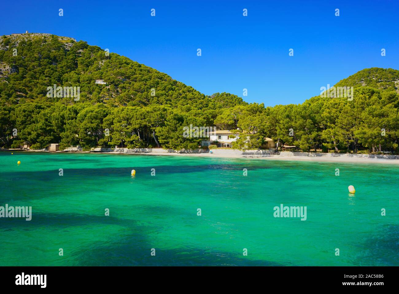 Superbe plage Playa Formentor près de Port de Pollensa, au nord de Majorque, Iles Baléares, Espagne. Une plage vide et spectaculaire de l'eau turquoise. Banque D'Images
