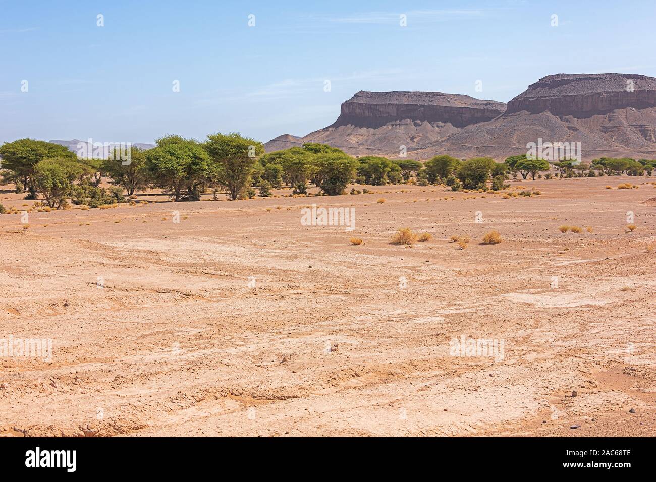 Paysage désertique près de Tazzarine sur route 12 entre Zagora et Erfoud Banque D'Images