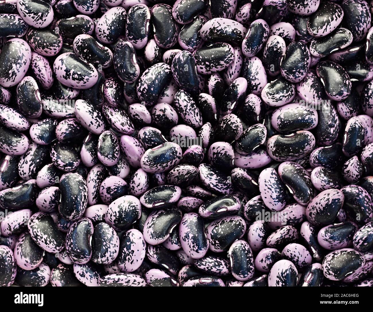 Mauve avec motif noir haricots rouges texture de fond lumineux et élégant Banque D'Images