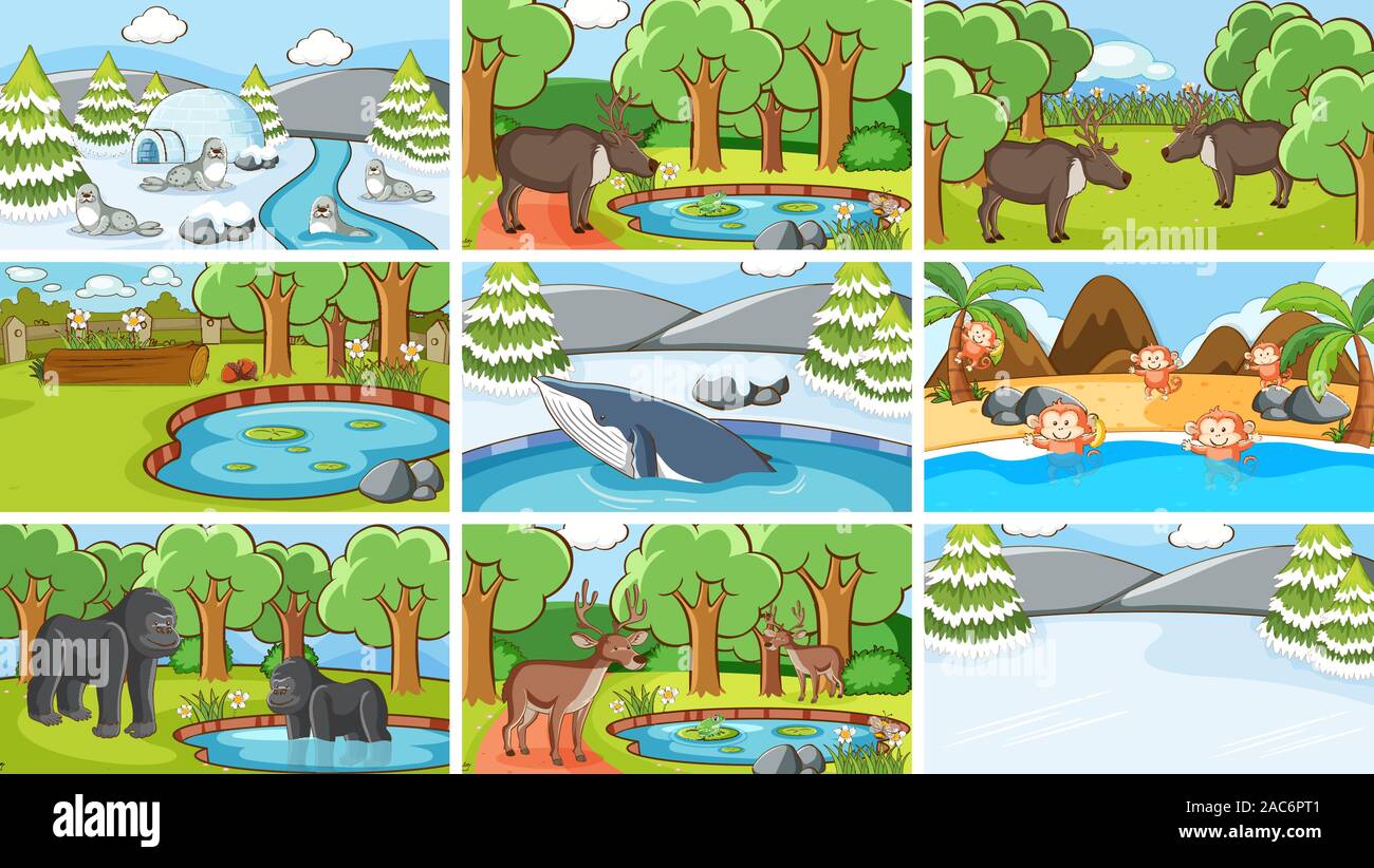 Des décors d'animaux dans la nature illustration Illustration de Vecteur Des décors d'animaux dans la nature illustration Illustration de Vecteur
