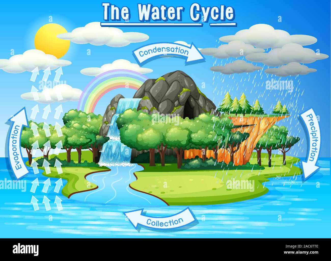 Processus du cycle de l'eau sur Terre - illustration scientifique Illustration de Vecteur