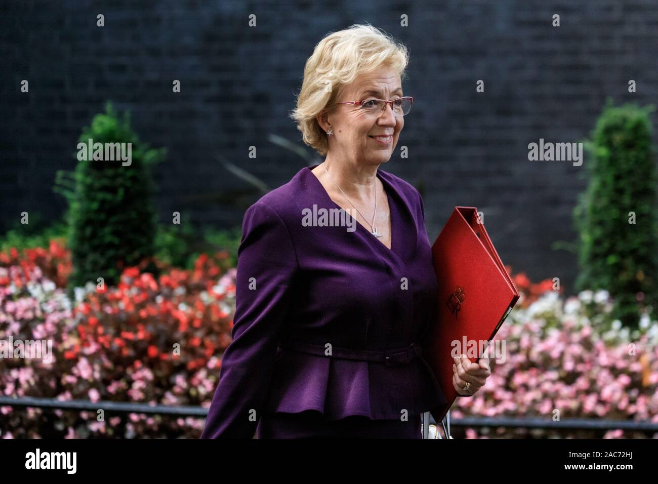 Andrea Leadsom MP, Secrétaire d'État pour les affaires, l'énergie et de stratégie industrielle. Quitter une réunion du Cabinet des ministres, Downing Street, Westminster, Lo Banque D'Images