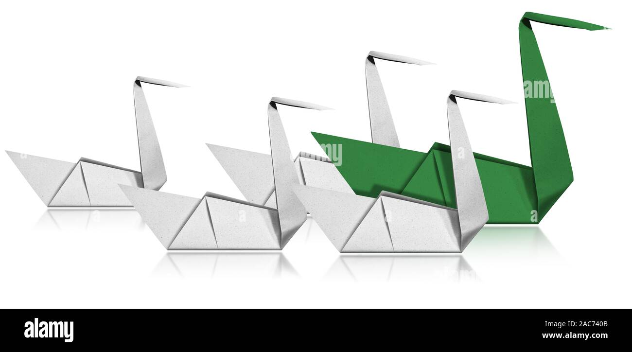 Concept de leadership, quatre cygnes livre blanc suivre une commande, swan vert symbole et l'enseignement. Isolé sur fond blanc avec des réflexions Banque D'Images
