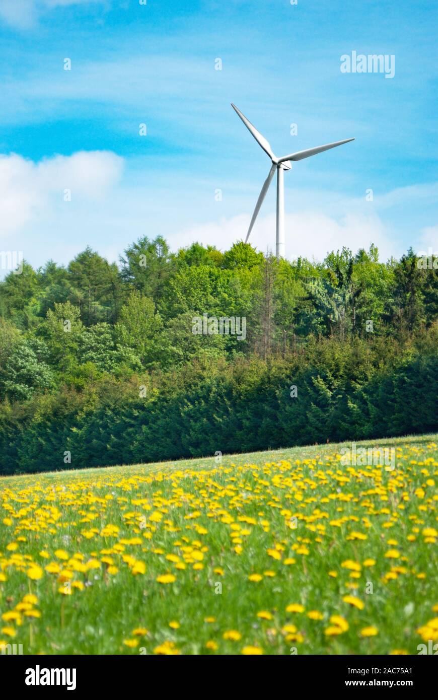 La production d'électricité blanc moulin sous ciel bleu clair. Wind turbine clean power concept. Low angle view Banque D'Images