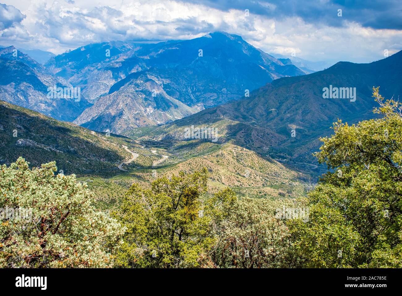 Sequoia National Forest au printemps,California,USA Banque D'Images