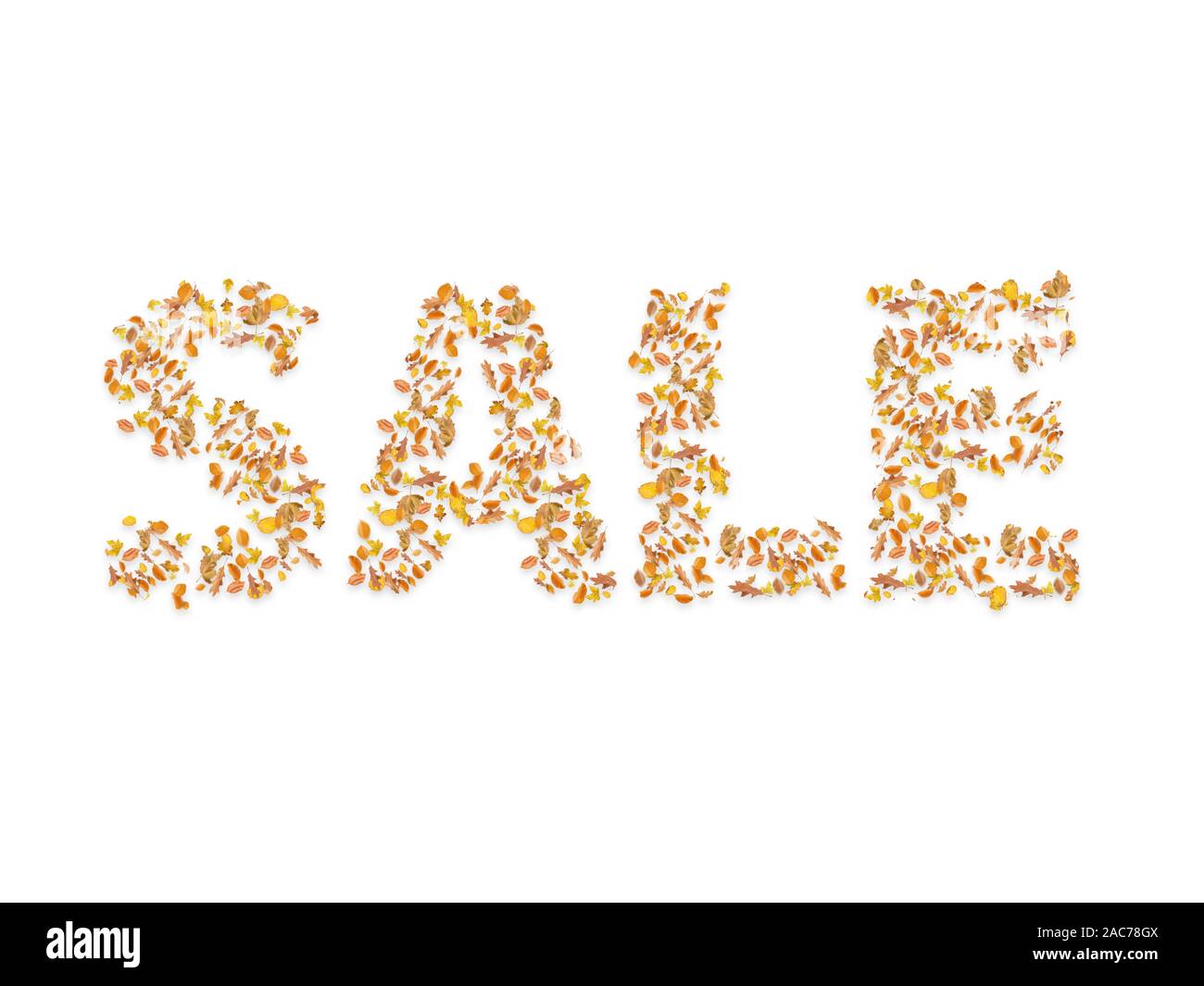 Belle collection de différentes couleurs les feuilles d'automne, soufflant dans l'air isolé sur fond blanc, concept d'automne, automne, vente Banque D'Images