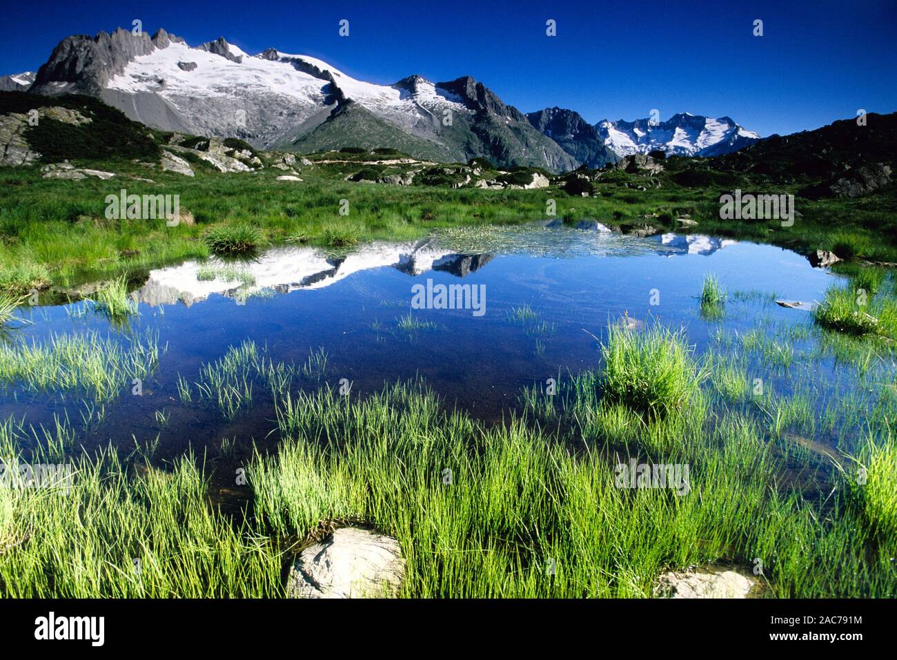 Schweiz - Wallis - Aletsch Gletscher Banque D'Images