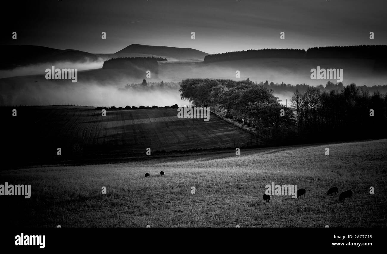 Paysage d'hiver spectaculaire dans South Lanarkshire, Écosse Banque D'Images