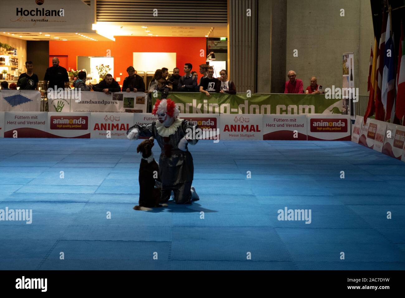 Impressions de la danse du Chien 2019 Coupe du monde à la foire de l'automne 2019 à Stuttgart, Allemagne Banque D'Images