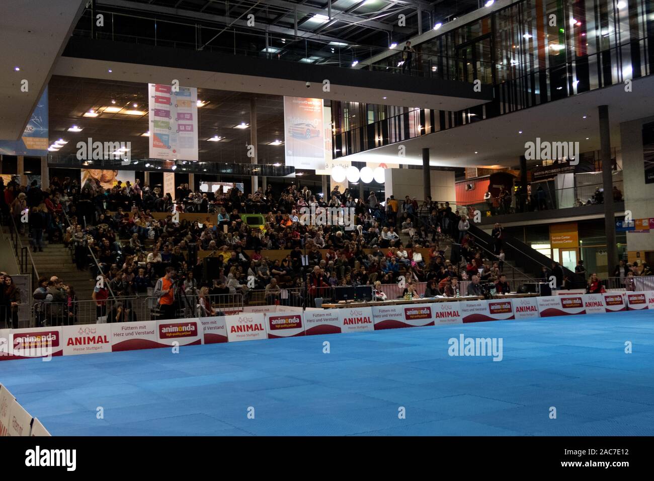 Impressions de la danse du Chien 2019 Coupe du monde à la foire de l'automne 2019 à Stuttgart, Allemagne Banque D'Images