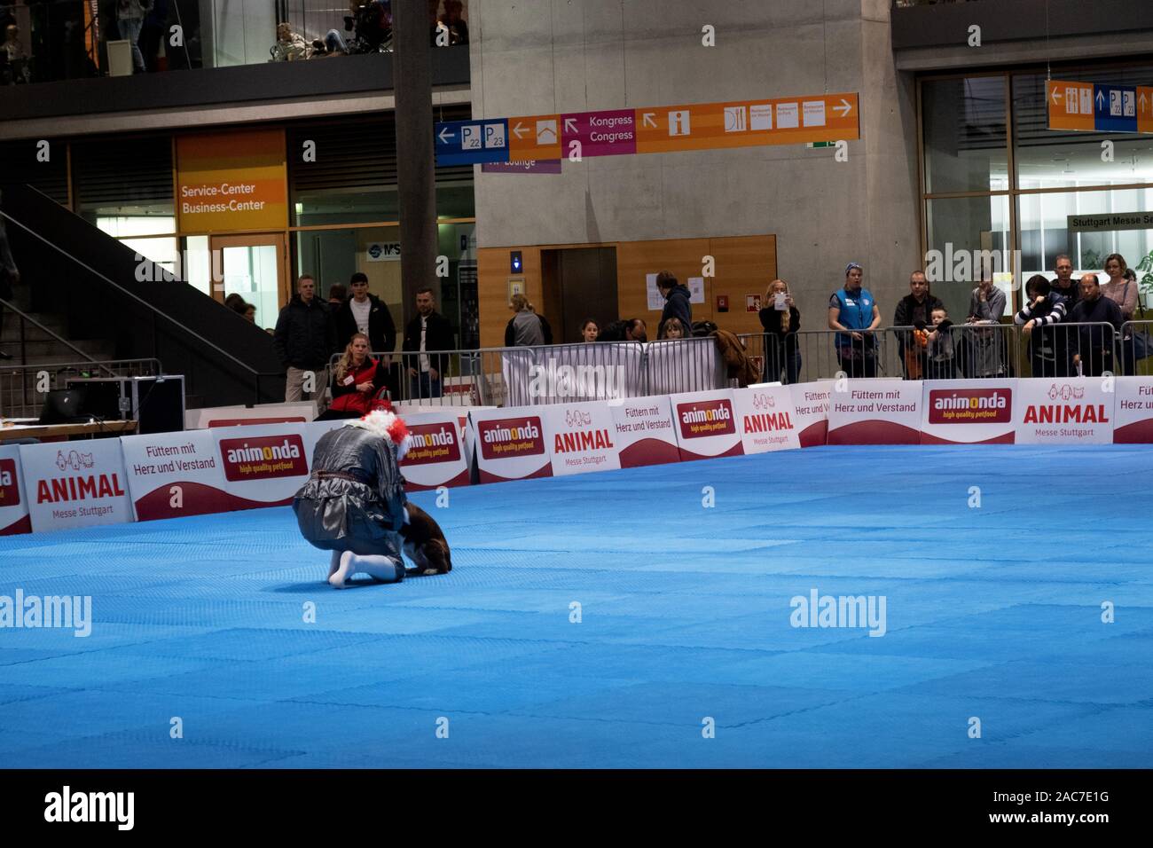 Impressions de la danse du Chien 2019 Coupe du monde à la foire de l'automne 2019 à Stuttgart, Allemagne Banque D'Images