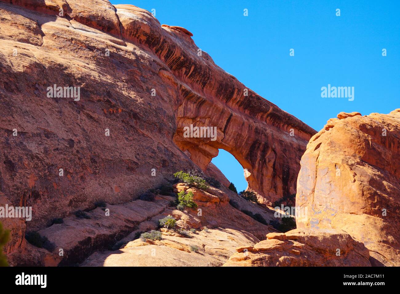 Une grande fenêtre naturelle dans un immense mur de grès crée la partition Arch dans Arches National Park. Banque D'Images