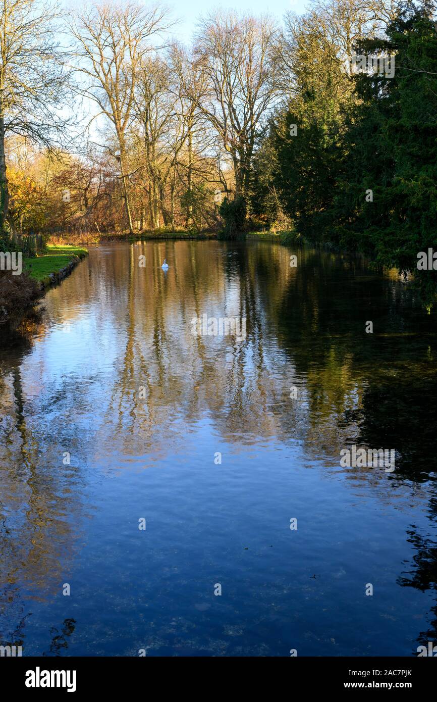 Vue de la rivière Test, Whitchurch, Hampshire, England, UK comme il coule à travers la ville à la fin de l'automne. Banque D'Images