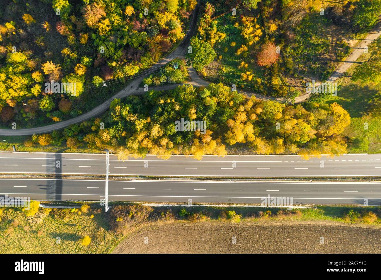 L'autoroute entre forêt d'automne et la masse cultivée avec arbres jaunes au coucher du soleil en automne. Vue aérienne du trafic sur speedway Banque D'Images