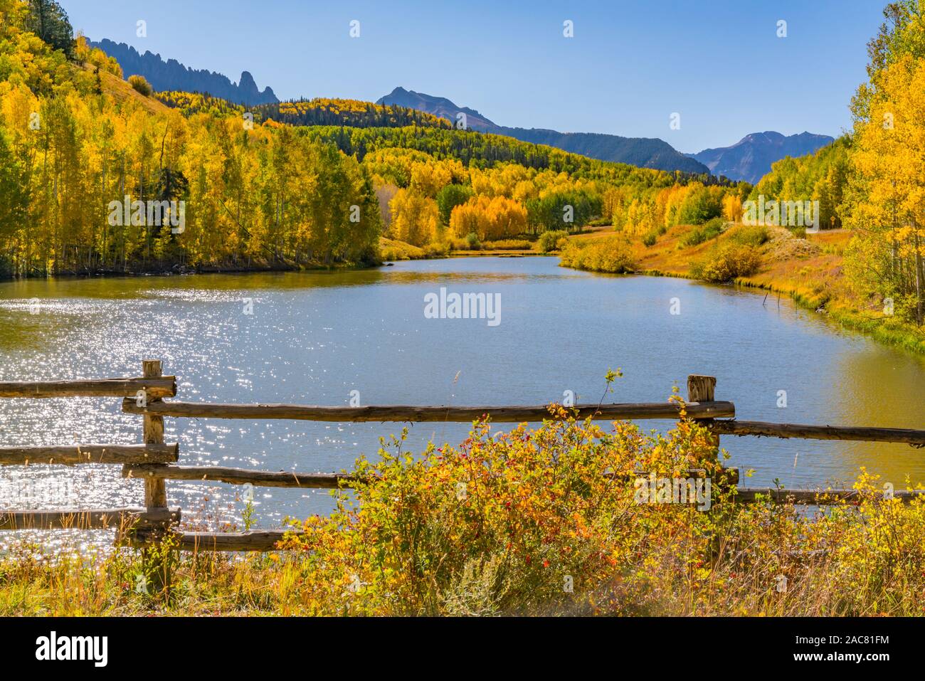 De l'automne brillant trembles sur Cushman Lake dans les montagnes de San Juan au Colorado Banque D'Images