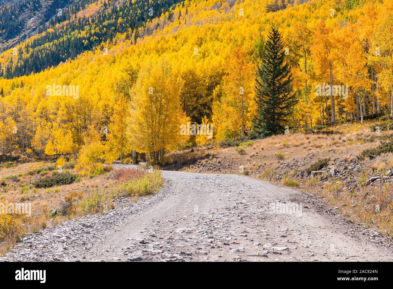Sentier en boucle alpine à travers les montagnes de San Juan dans le Colorado Banque D'Images