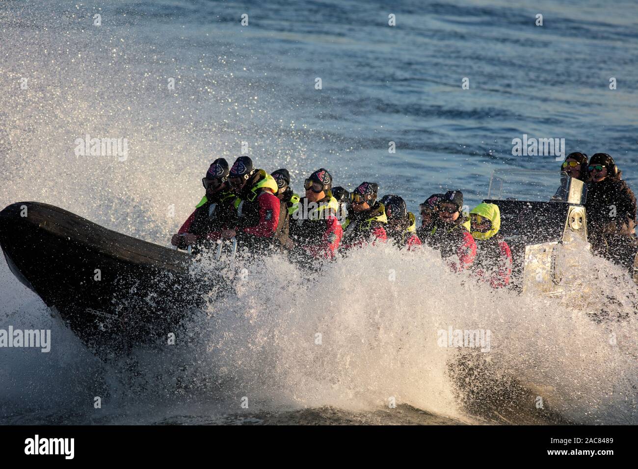 Les gens s'amusant sur un puissant bateau à partir de la nervure Öppet Hav en dehors de Stockholm, Suède Banque D'Images