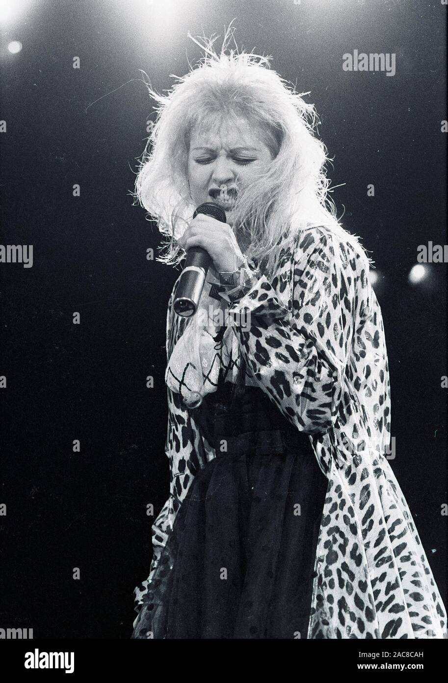 Cyndi Lauper chante dans les "vraies couleurs" tour concert au Worcester worcester dans Centruim Ma USA 1980 photo de Bill belknap Banque D'Images