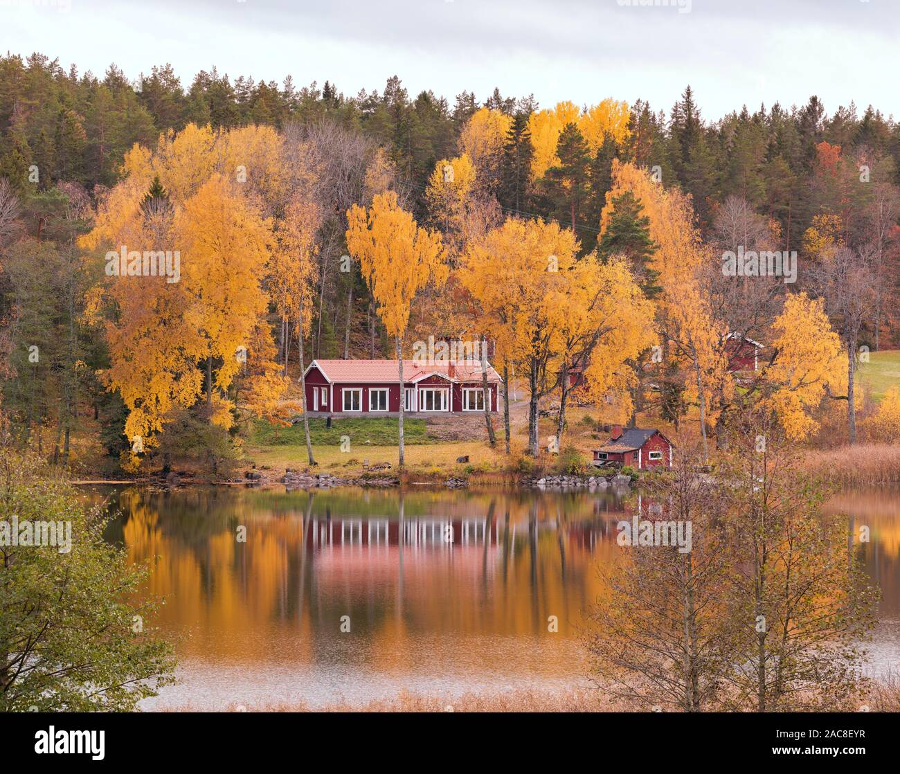 Automne idyllique campagne suédoise vue depuis près de Rimbo, Roslagen Banque D'Images