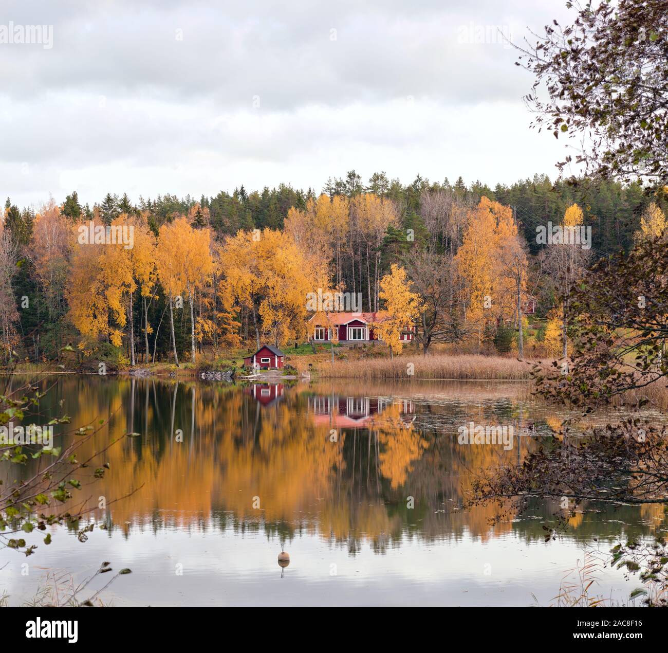 Automne idyllique campagne suédoise vue depuis près de Rimbo, Roslagen Banque D'Images