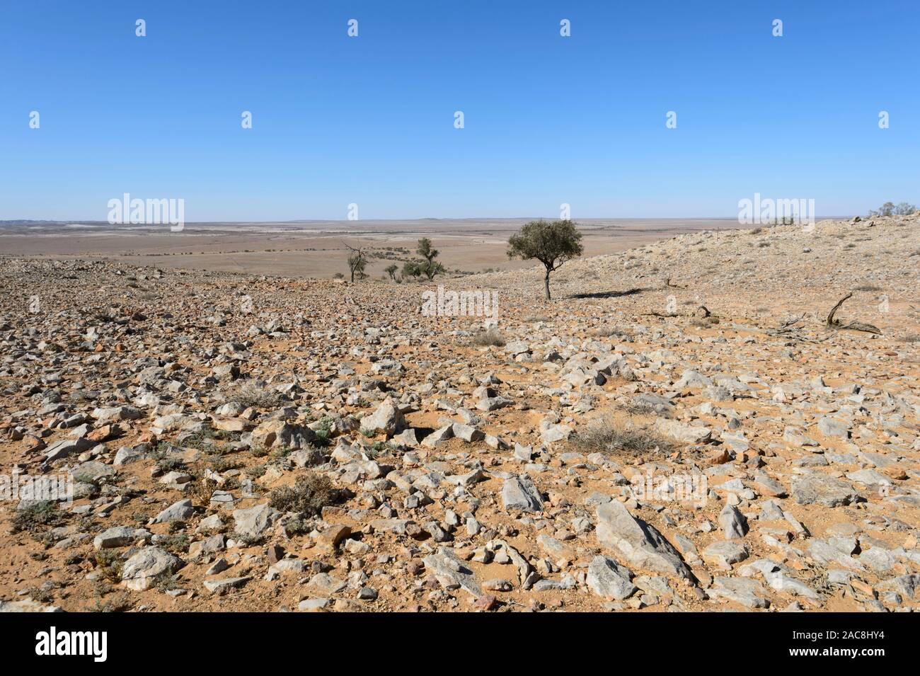 Avis de pays pierreux aride dans l'Outback australien, près de Milparinka, New South Wales, NSW, Australie Banque D'Images