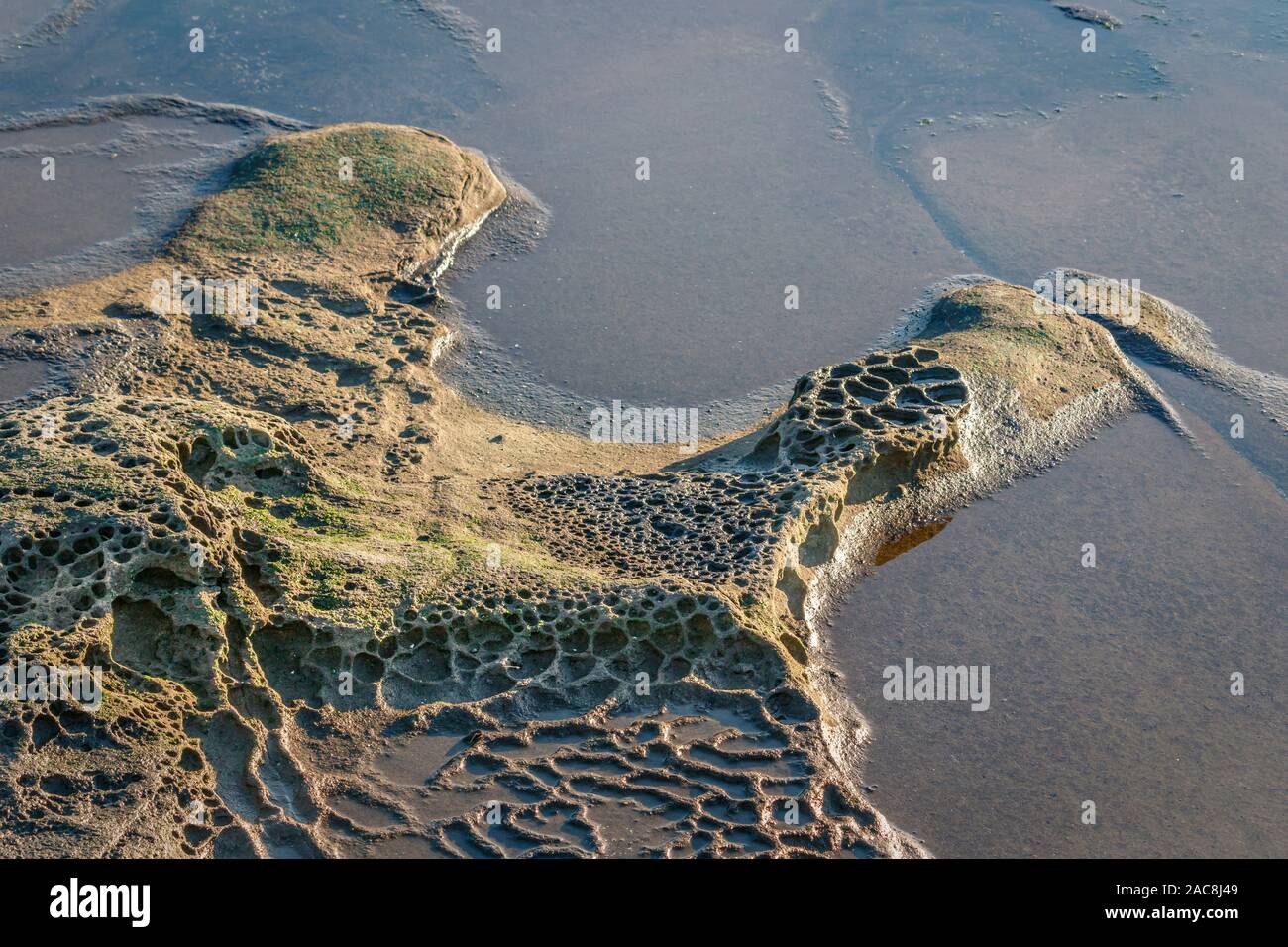 Résumé semi-grès érodé de détail au bord de la mer, sa texture rugueuse contrairement au sable lisse visible au travers de l'eau (Colombie-Britannique). Banque D'Images