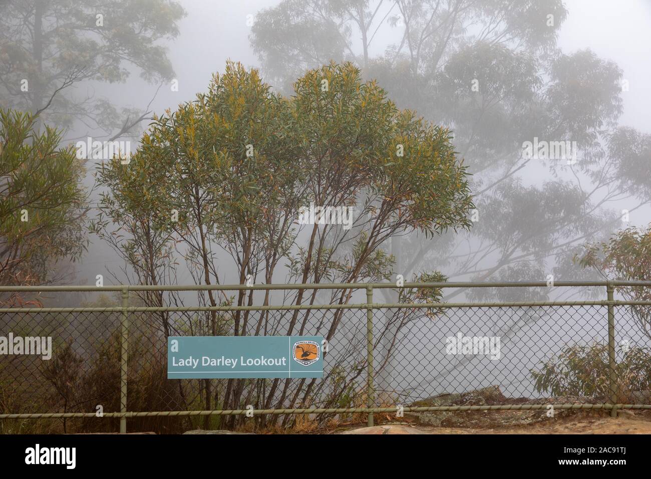 Brouillard et brume dans le parc national des Blue mountains, Nouvelle-Galles du Sud, Australie Banque D'Images