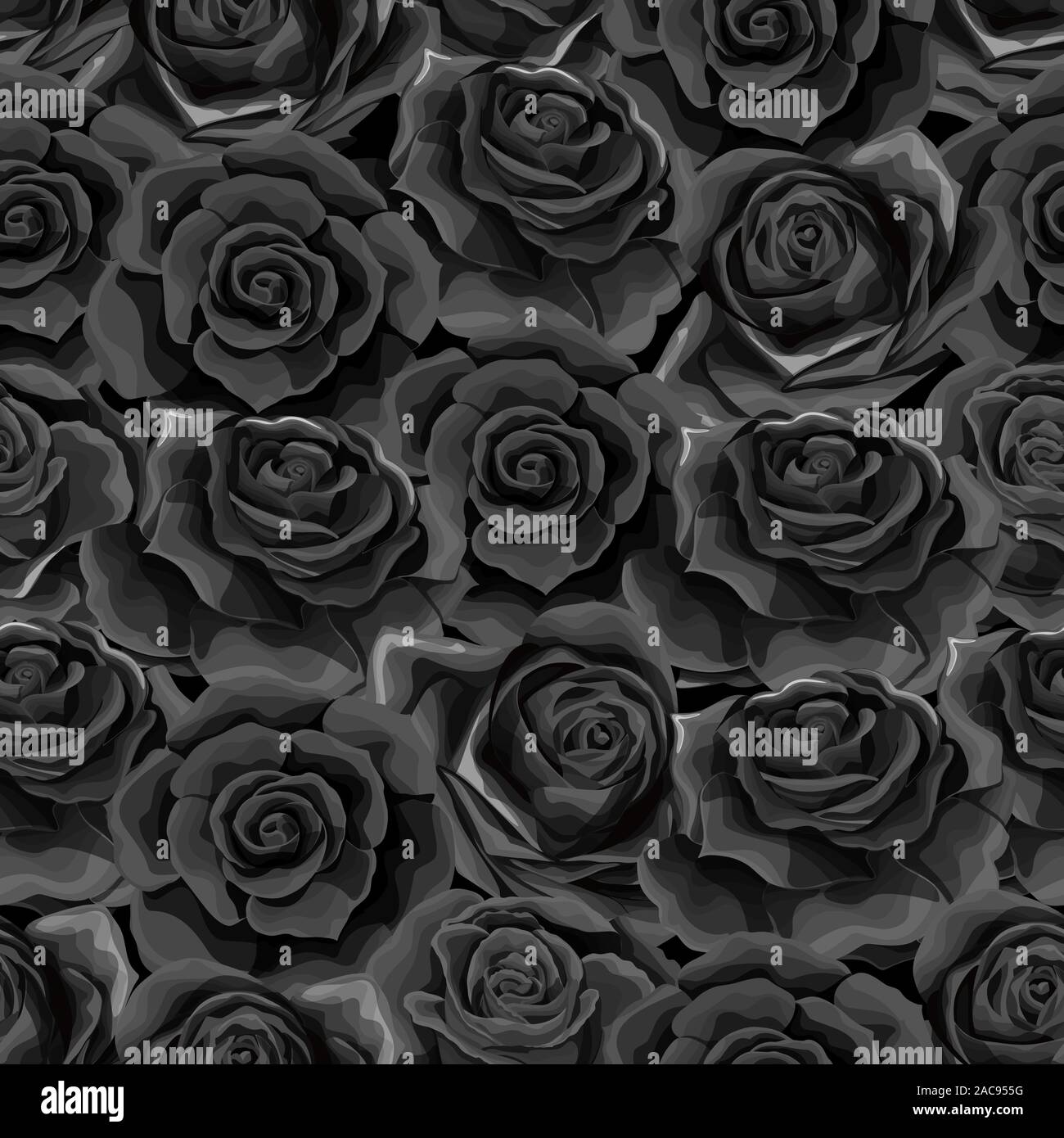 Beau noir et blanc motif transparent monochrome en roses avec les contours Illustration de Vecteur