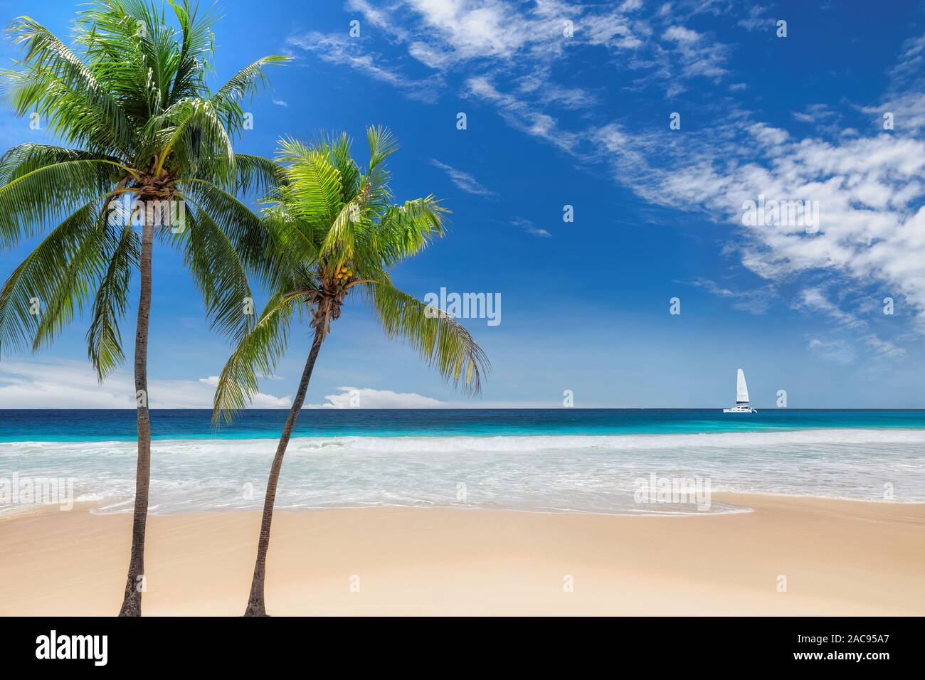 Belle plage de sable avec des palmiers et un bateau à voile dans la mer turquoise des Caraïbes Banque D'Images