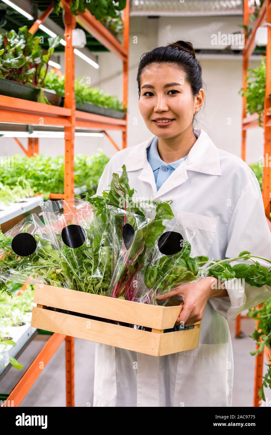Heureux les jeunes travailleurs en serre asiatique blanchon transportant les aliments biologiques Banque D'Images