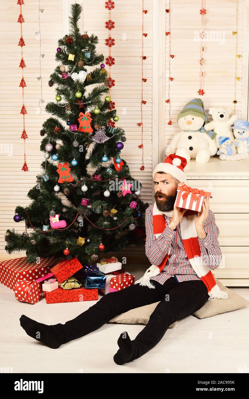 Guy en bonnet et écharpe se trouve en arbre de Noël. Homme à barbe est titulaire présent fort. Père Noël avec visage surpris sur bureau avec toy snowman et Christma Banque D'Images