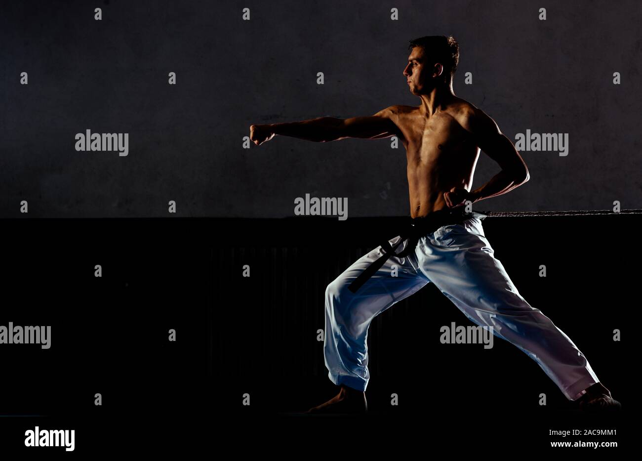 Portrait d'un homme de race blanche silhouette taekwondo professionnelle,  diplôme de ceinture noire (Dan) de la préparation à la lutte Photo Stock -  Alamy