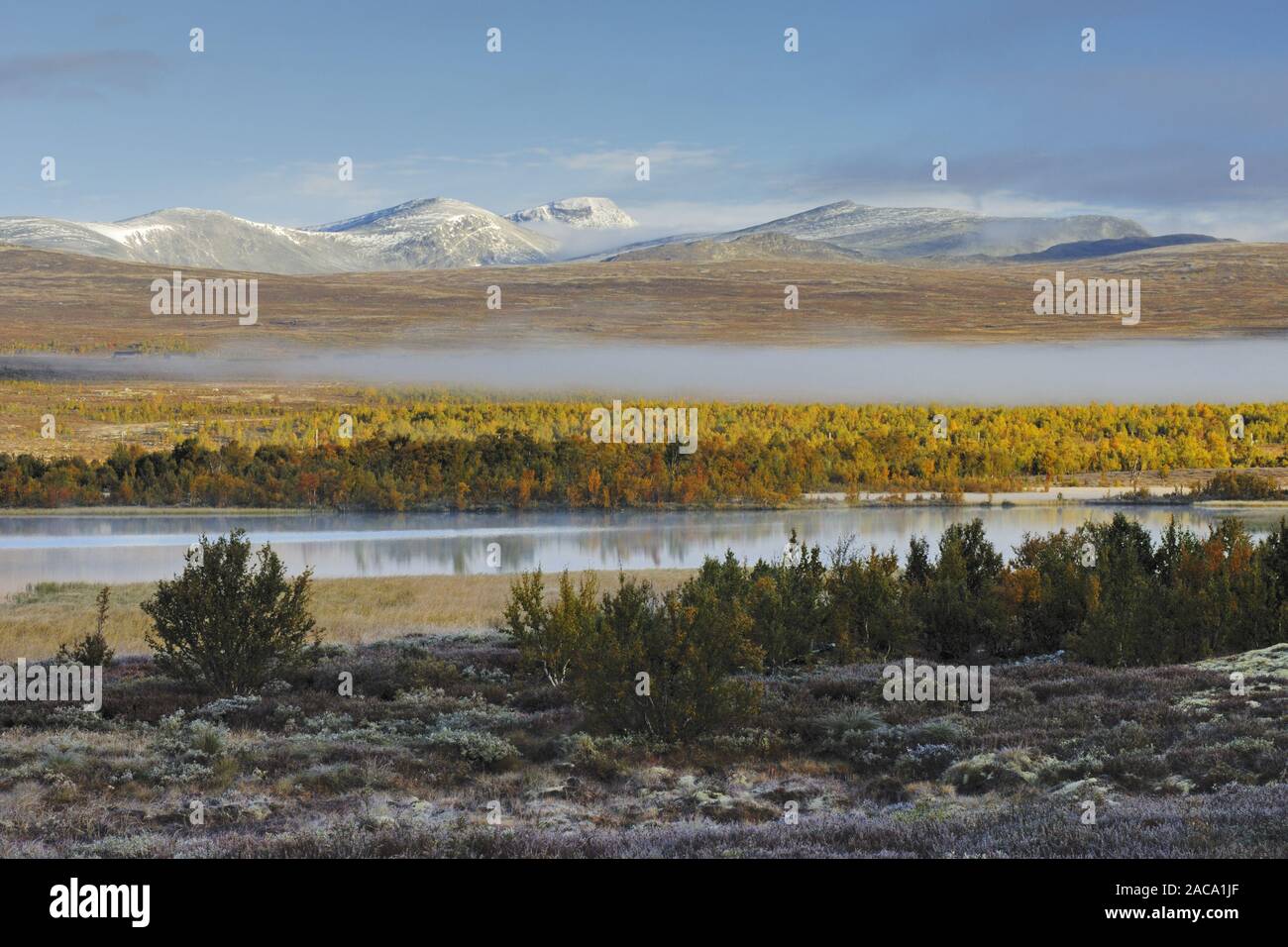 Avsjoen, montagne, Berg, ciel couvert, wolkenverhangen daemerung., Dawn, Oppland, Norvège, Norvège, nordeuropa, nord de l'Europe, Banque D'Images