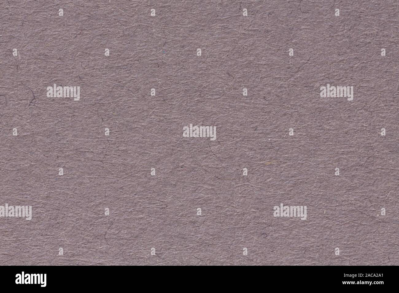 La texture du papier mauve cose-up. Papier fond mou. Banque D'Images