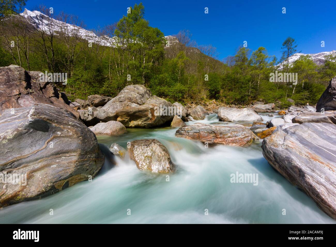 Vallée Verzasca colorés avec de l'eau de la rivière verte naturelle au printemps, ciel bleu Banque D'Images