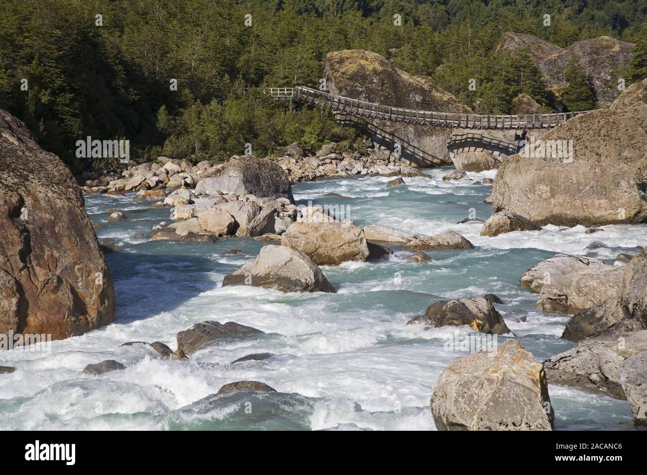 Hängebruecke, Parc Queulat, Carretera Austral, Patagonien, Chili, Suedamerika, plank bridge, Parc Queulat, Carretera Austral, P Banque D'Images