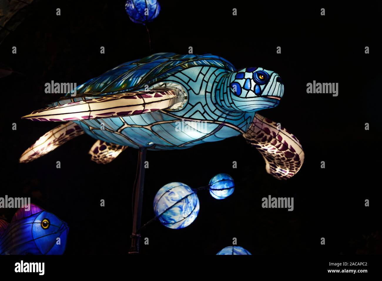 Paris, France. 1er décembre 2019. 'Océan sur la voie de l'Illumination", festival des lumières du Jardin des Plantes à Paris, France. Banque D'Images